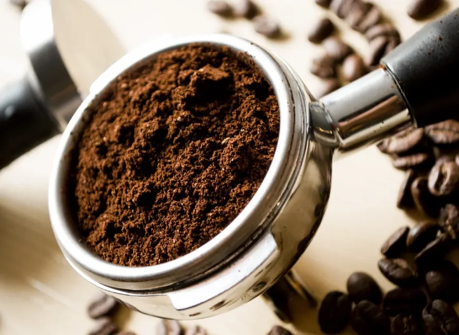 robusta-characteristics