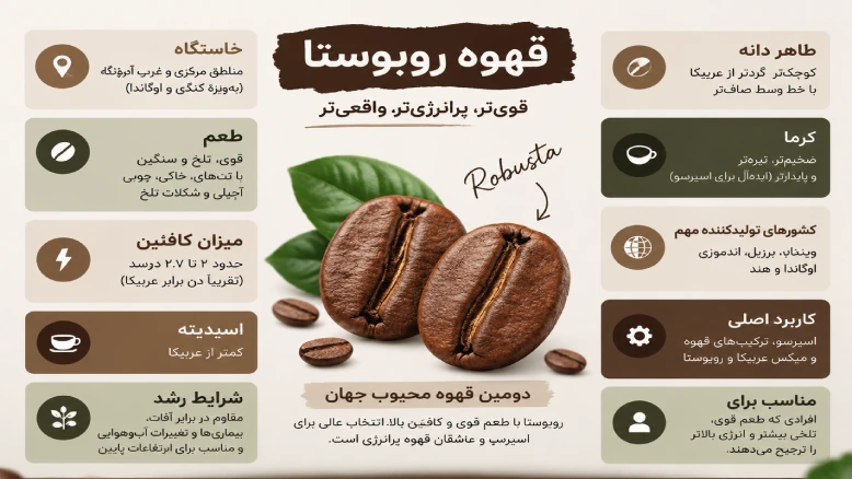 قهوه روبوستا چیست
