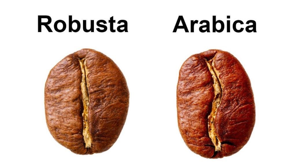 عربیکا یا  روبستا 