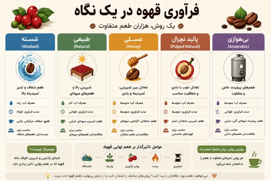 فراوری قهوه چیست