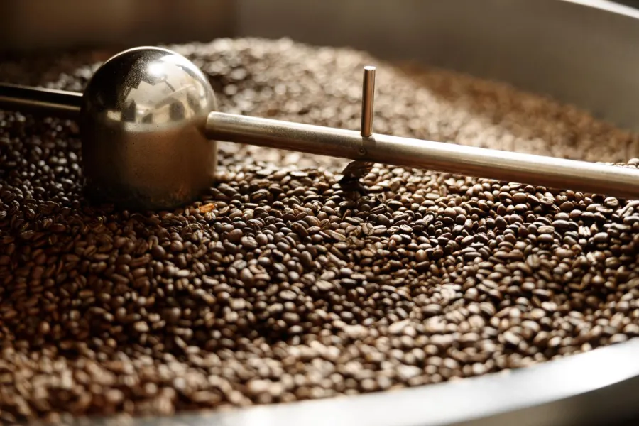دانه قهوه چگونه تولید میشود؟